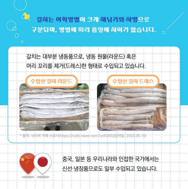 갈치는 어획방법이 크게 채낚기와 자망으로 구분되며, 방법에 따라 품질에 차이가 있습니다. 갈치는 대부분 냉동품으로, 냉동 원물(라운드) 혹은 머리·꼬리를 제거(드레스)한 형태로 수입되고 있습니다. 수입산 갈치 라운드 이미지와 수입산 갈치 드레스 이미지 (* 출처: 네이버 카페 수유시(https://cafe.naver.com/iyo5345)(검색일 : 2023. 05. 15)) 중국, 일본 등 우리나라와 인접한 국가에서는 신선·냉장품으로도 일부 수입되고 있습니다.