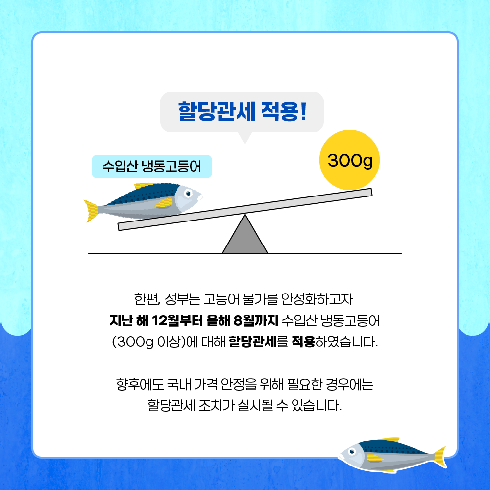 할당관세 적용! 수입산 냉동고등어가 300g 보다 적은 무게를 표현하는 일러스트.  한편, 정부는 고등어 물가를 안정화하고자 지난 해 12월부터 올해 8월까지 수입산 냉동고등어 (300g 이상)에 대해 할당관세를 적용하였습니다. 향후에도 국내 가격 안정을 위해 필요한 경우에는 할당관세 조치가 실시될 수 있습니다.