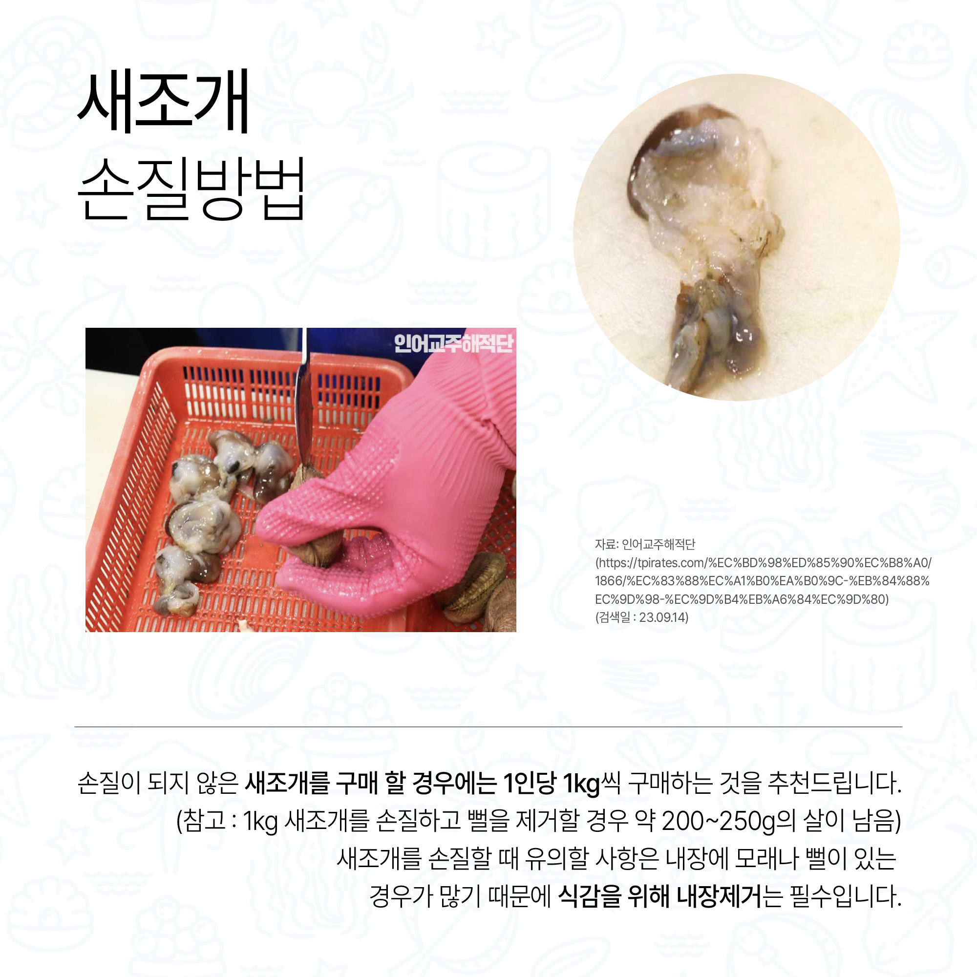 새조개 손질방법 손질된 새조개 사진, 고무장갑을 하고 숫가락으로 새조개를 손질하고 있는 사진 자료: 인어교주해적단(https://tpirates.com/%EC%BD%98%ED%85%90%EC%B8%A0/1866/%EC%83%88%EC%A1%B0%EA%B0%9C-%EB%84%88%EC%9D%98-%EC%9D%B4%EB%A6%84%EC%9D%80)(검색일 : 23.09.14) 손질이 되지 않은 새조개를 구매 할 경우에는 1인당 1kg씩 구매하는 것을 추천드립니다. (참고 : 1kg 새조개를 손질하고 뻘을 제거할 경우 약 200~250g의 살이 남음) 새조개를 손질할 때 유의할 사항은 내장에 모래나 뻘이 있는 경우가 많기 때문에 식감을 위해 내장제거는 필수입니다.