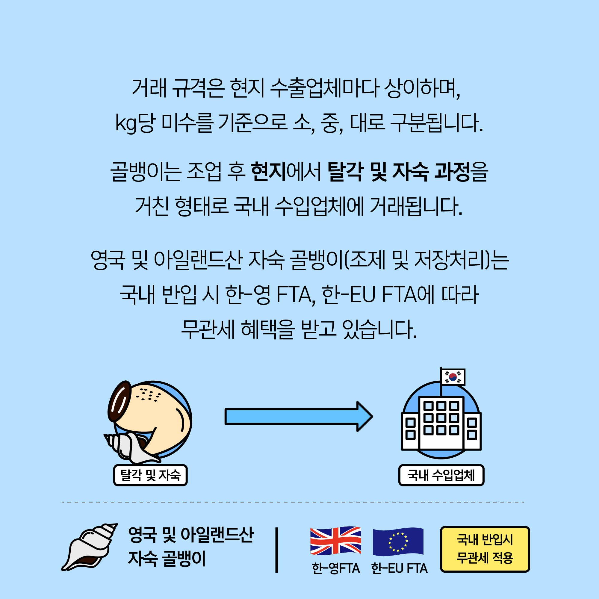 거래 규격은 현지 수출업체마다 상이하며, kg당 미수를 기준으로 소, 중, 대로 구분됩니다. 골뱅이는 조업 후 현지에서 탈각 및 자숙 과정을 거친 형태로 국내 수입업체에 거래됩니다. 영국 및 아일랜드산 자숙 골뱅이(조제 및 저장처리)는 국내 반입 시 한-영 FTA, 한-EU FTA에 따라 무관세 혜택을 받고 있습니다. 탈각 및 자숙 → 국내 수입업체 영국 및 아일랜드산 자숙 골뱅이 영국 국기(한-영FTA), EU국기(한-EU FTA) 국내 반입시 무관세 적용